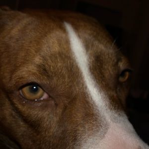 Meet your Posher, Gabriela